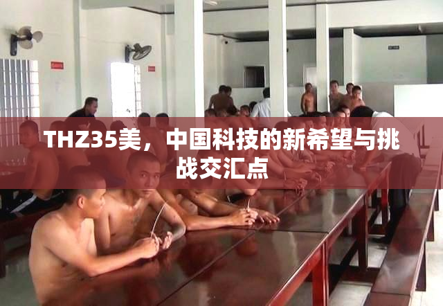 THZ35美，中国科技的新希望与挑战交汇点