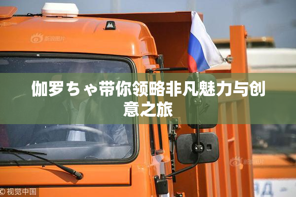 伽罗ちゃ带你领略非凡魅力与创意之旅