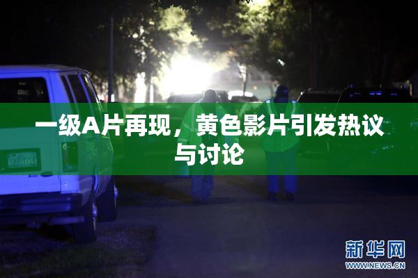 一级A片再现，黄色影片引发热议与讨论
