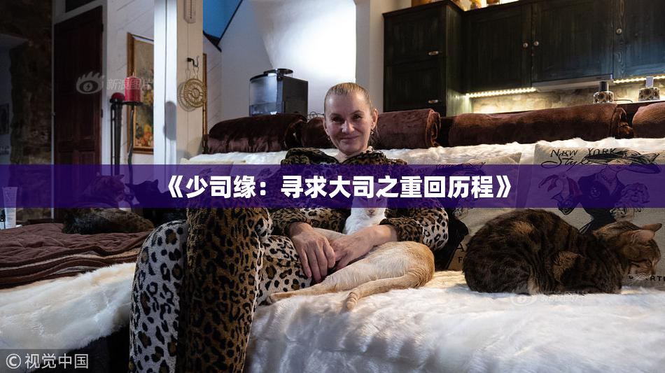 《少司缘：寻求大司之重回历程》