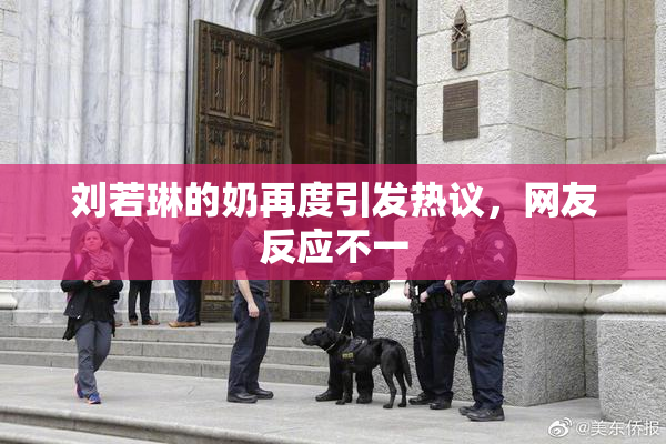刘若琳的奶再度引发热议，网友反应不一