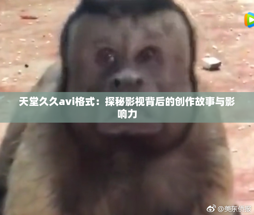 天堂久久avi格式：探秘影视背后的创作故事与影响力