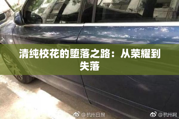 清纯校花的堕落之路：从荣耀到失落