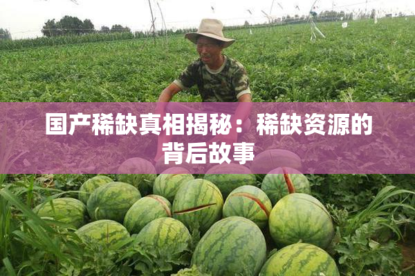 国产稀缺真相揭秘：稀缺资源的背后故事