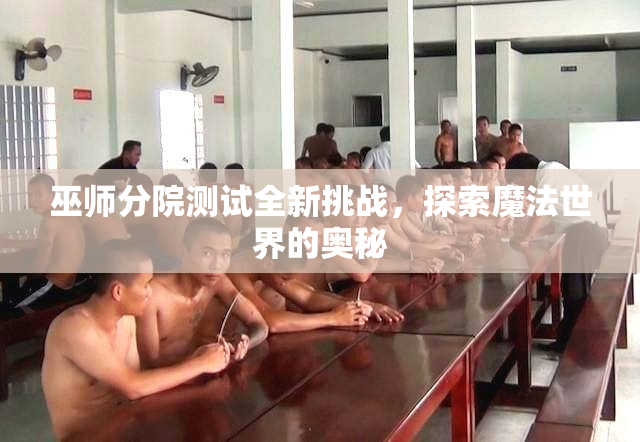 巫师分院测试全新挑战，探索魔法世界的奥秘
