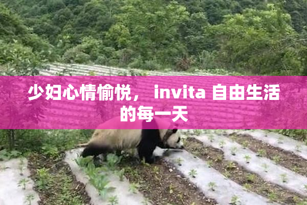 少妇心情愉悦， invita 自由生活的每一天