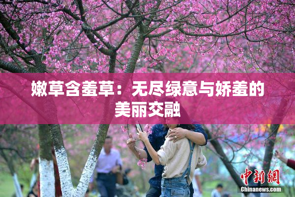 嫩草含羞草：无尽绿意与娇羞的美丽交融