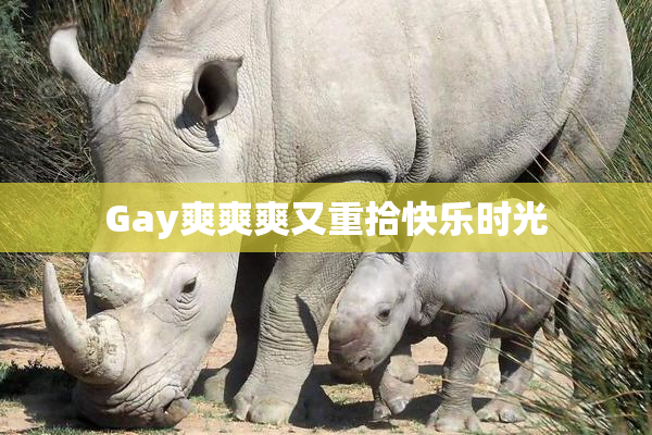 Gay爽爽爽又重拾快乐时光