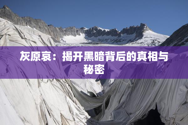 灰原哀：揭开黑暗背后的真相与秘密