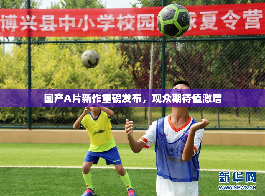 国产A片新作重磅发布，观众期待值激增