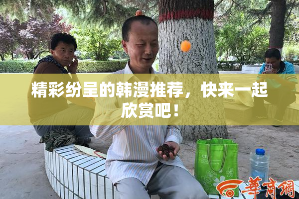精彩纷呈的韩漫推荐，快来一起欣赏吧！