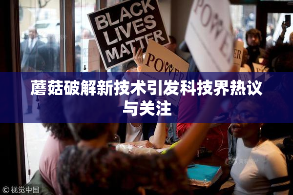 蘑菇破解新技术引发科技界热议与关注