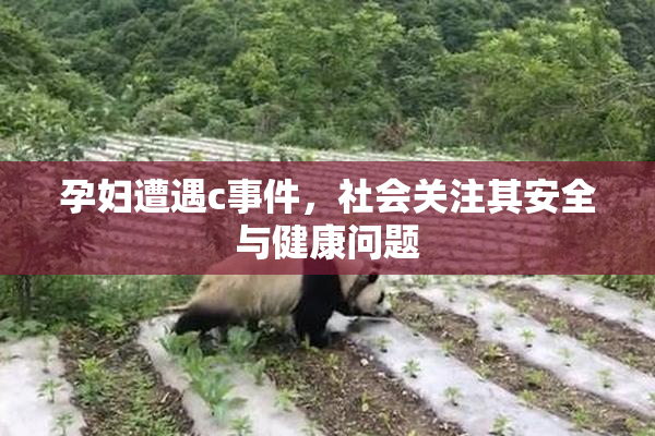 孕妇遭遇c事件，社会关注其安全与健康问题