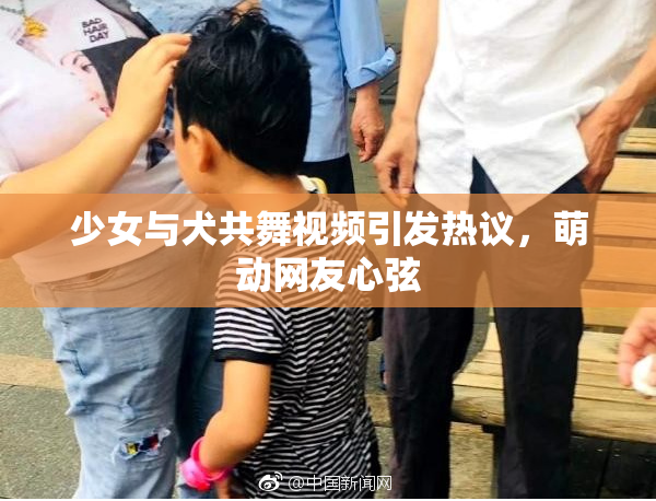 少女与犬共舞视频引发热议，萌动网友心弦