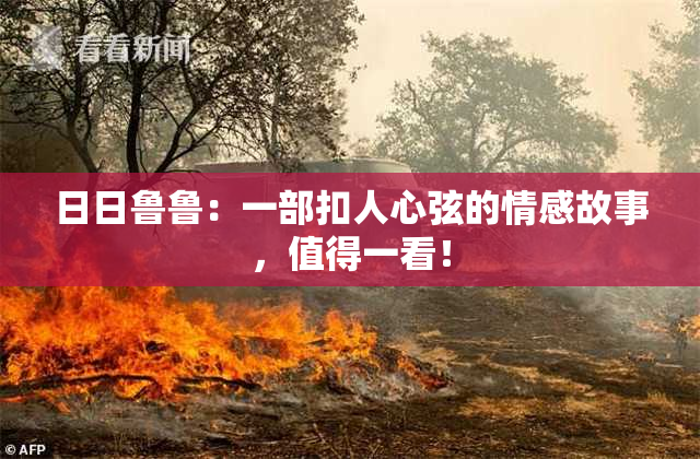 日日鲁鲁：一部扣人心弦的情感故事，值得一看！