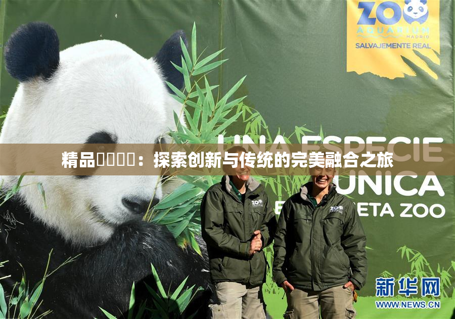 精品❌‌❌‌：探索创新与传统的完美融合之旅