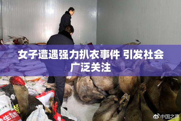 女子遭遇强力扒衣事件 引发社会广泛关注