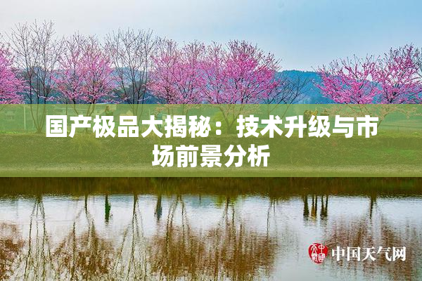 国产极品大揭秘：技术升级与市场前景分析