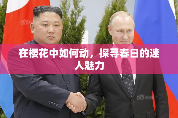 在樱花中如何动，探寻春日的迷人魅力