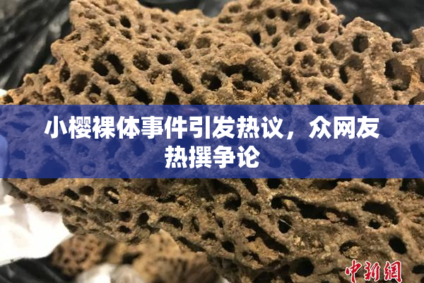 小樱裸体事件引发热议，众网友热撰争论
