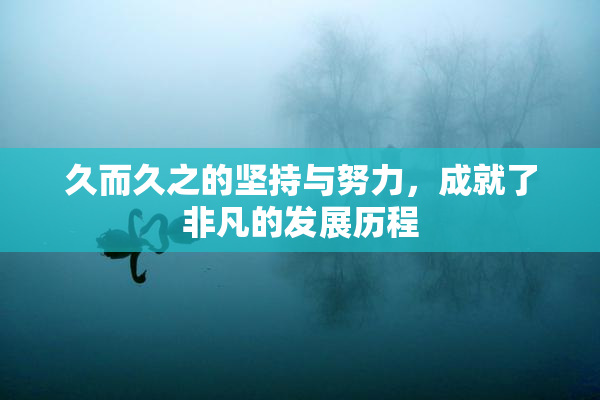 久而久之的坚持与努力，成就了非凡的发展历程