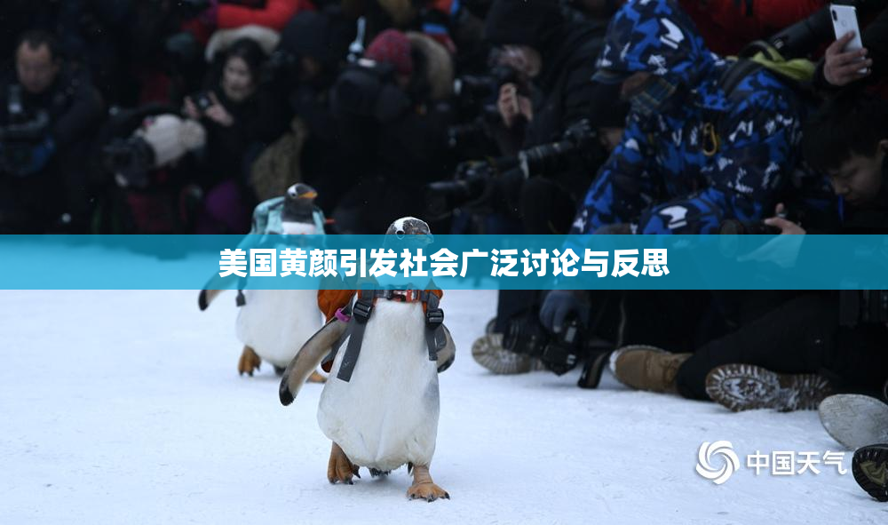 美国黄颜引发社会广泛讨论与反思