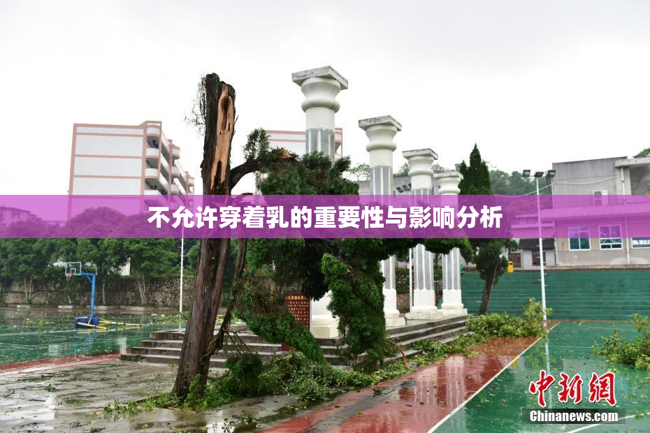不允许穿着乳的重要性与影响分析