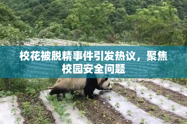 校花被脱精事件引发热议，聚焦校园安全问题