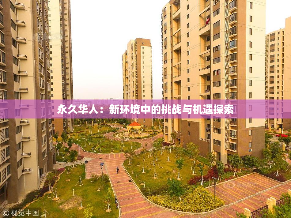 永久华人：新环境中的挑战与机遇探索