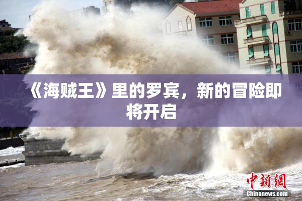 《海贼王》里的罗宾，新的冒险即将开启