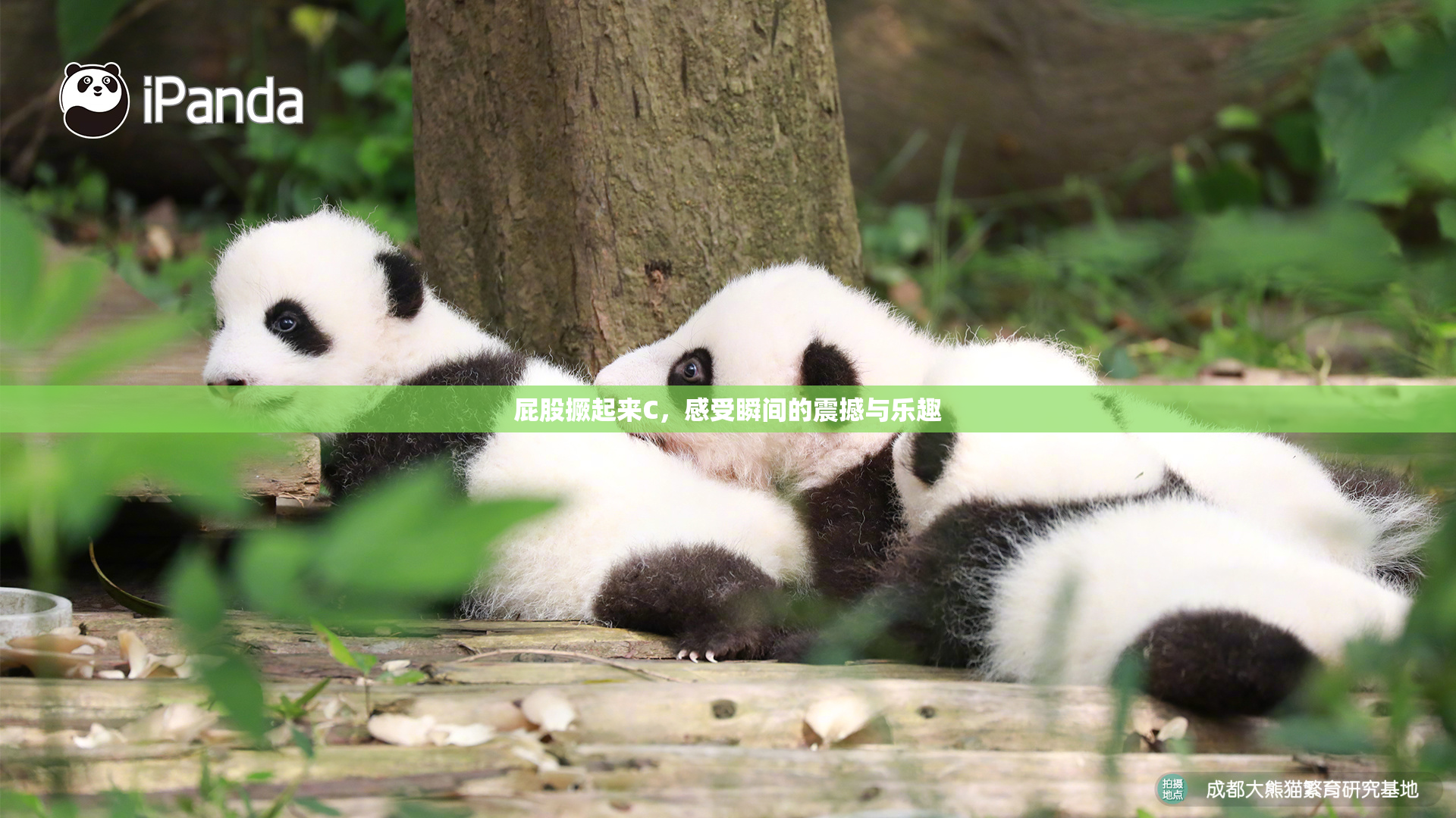 屁股撅起来C，感受瞬间的震撼与乐趣