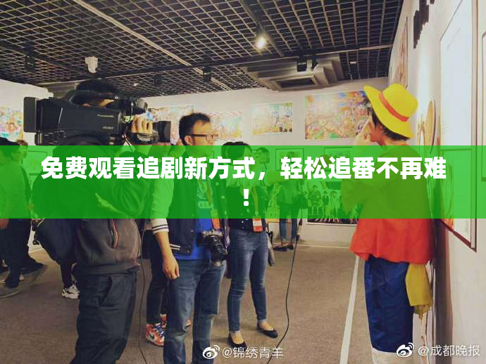 免费观看追剧新方式，轻松追番不再难！