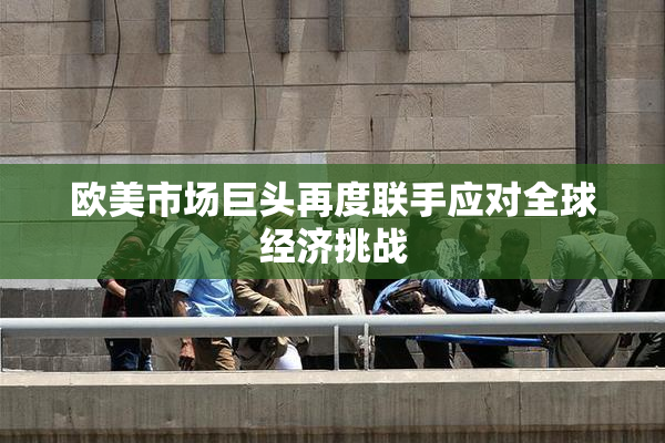欧美市场巨头再度联手应对全球经济挑战