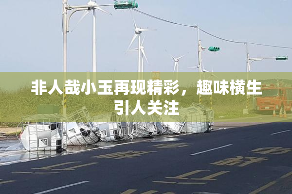 非人哉小玉再现精彩，趣味横生引人关注
