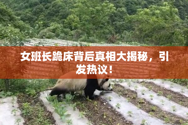女班长跪床背后真相大揭秘，引发热议！