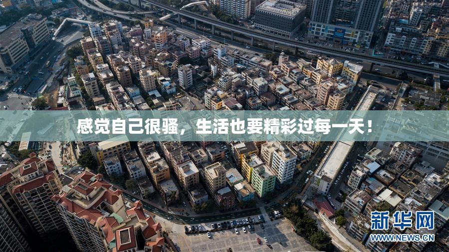 感觉自己很骚，生活也要精彩过每一天！