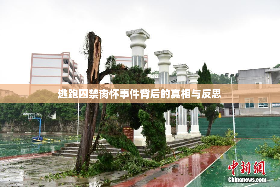 逃跑囚禁脔怀事件背后的真相与反思