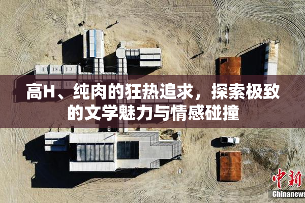 高H、纯肉的狂热追求，探索极致的文学魅力与情感碰撞