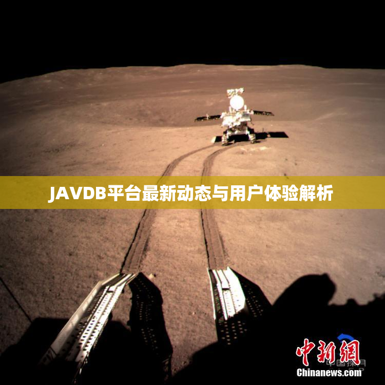 JAVDB平台最新动态与用户体验解析