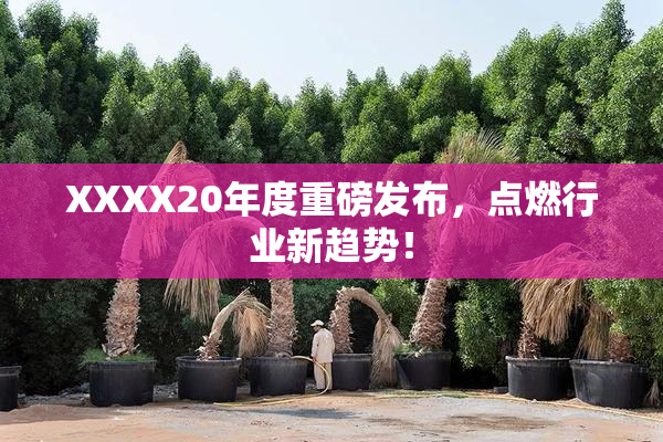 XXXX20年度重磅发布，点燃行业新趋势！