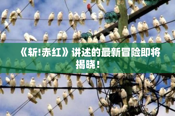 《斩!赤红》讲述的最新冒险即将揭晓！