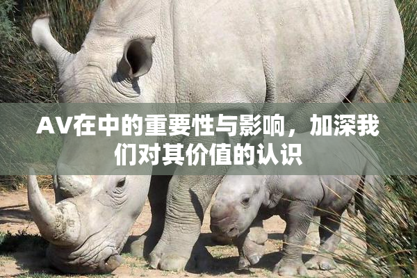 AV在中的重要性与影响，加深我们对其价值的认识