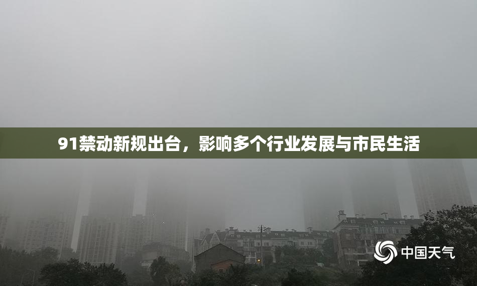 91禁动新规出台，影响多个行业发展与市民生活