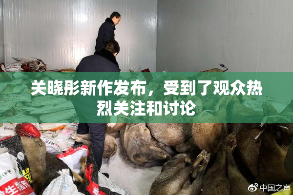 关晓彤新作发布，受到了观众热烈关注和讨论