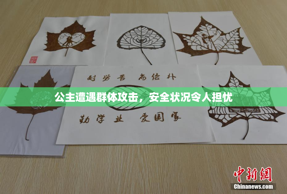 公主遭遇群体攻击，安全状况令人担忧