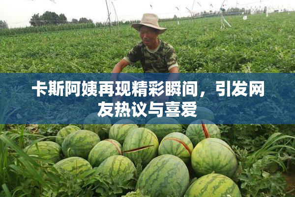 卡斯阿姨再现精彩瞬间，引发网友热议与喜爱
