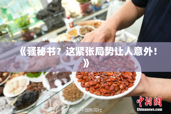 《骚秘书？这紧张局势让人意外！》