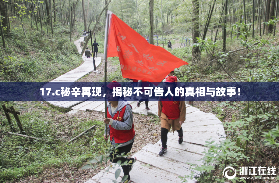 17.c秘辛再现，揭秘不可告人的真相与故事！