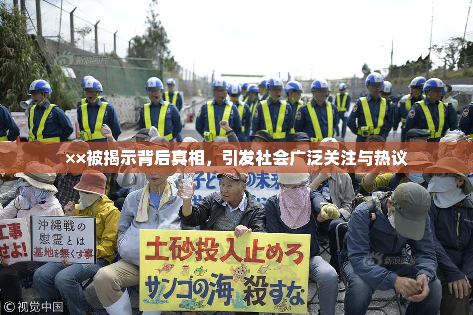 ××被揭示背后真相，引发社会广泛关注与热议
