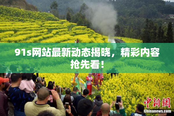 91s网站最新动态揭晓，精彩内容抢先看！